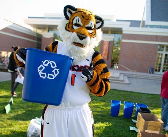 powercat with a recycling bin