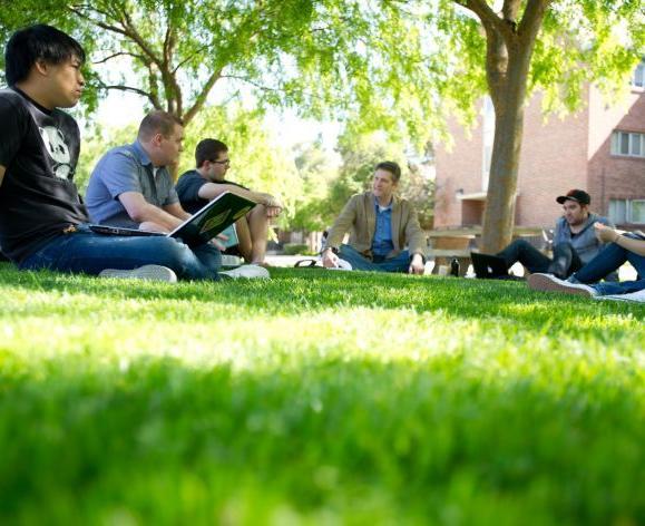 学生们和教授坐在校园草坪上